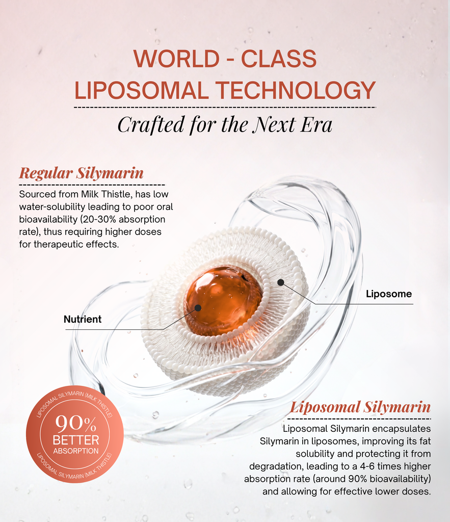 Lipo Liver Shield
