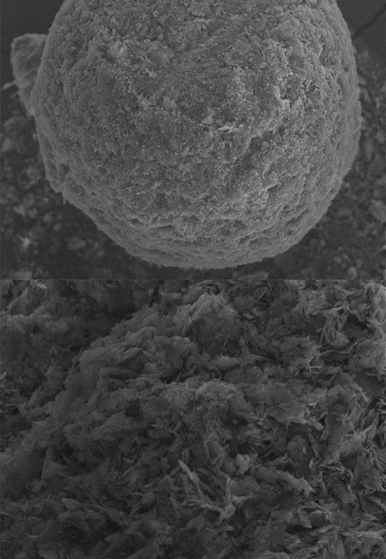 Magnesium Phosphate Dibasic