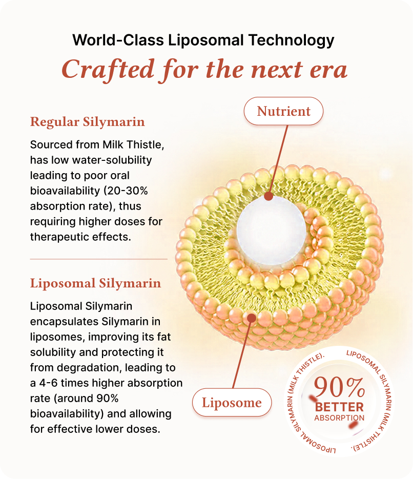 Lipo Liver Shield