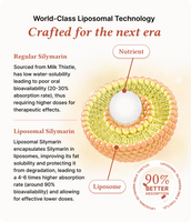 Lipo Liver Shield